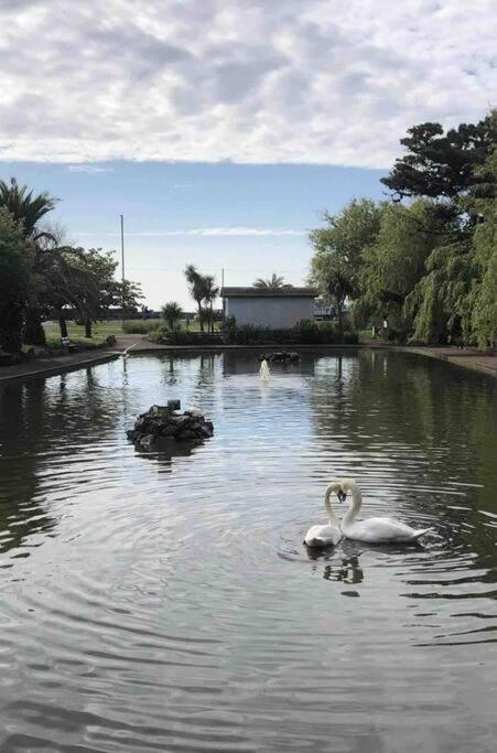 * Popular * Stunning Quiet Apartment By The Sea Torquay Exterior foto